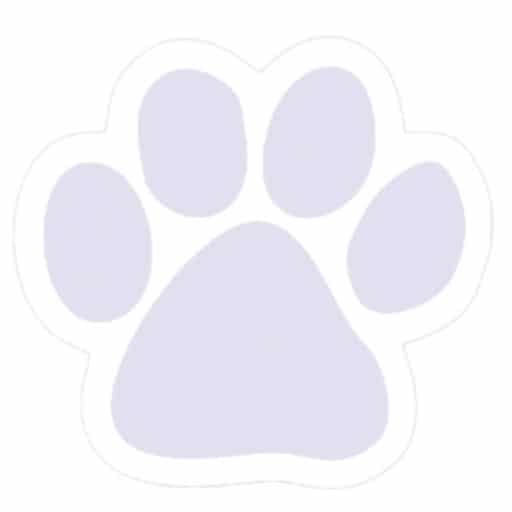 Forget me not purple paw