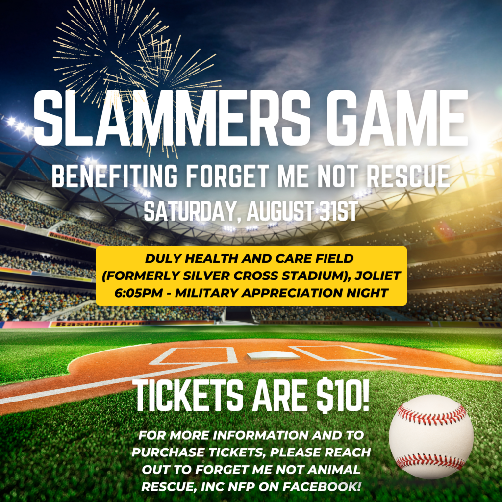 Slammers Game – Forget Me Not Animal Rescue